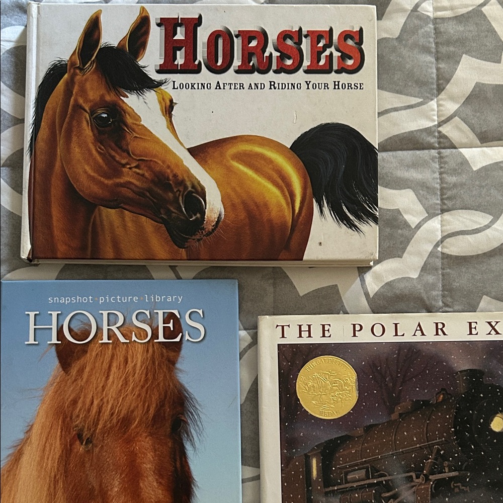 Horse-Themed Decorative Books Set